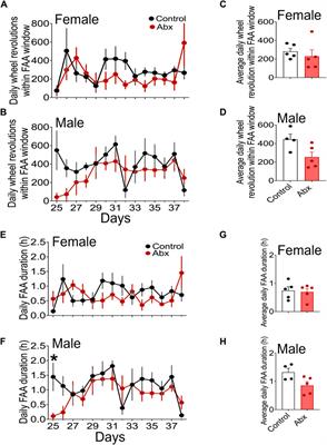 Frontiers Gut microbiota depletion minimally affects the daily